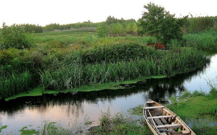 اهمیت زیست‌محیطی تالاب انزلی