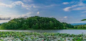 سازوکارهای نقش تالاب‌ها در کاهش سیلاب‌های ساحلی