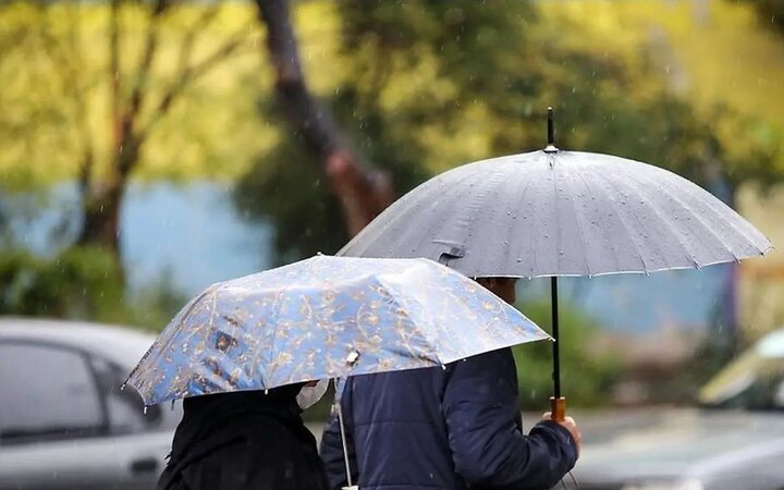 کشت در گیلان