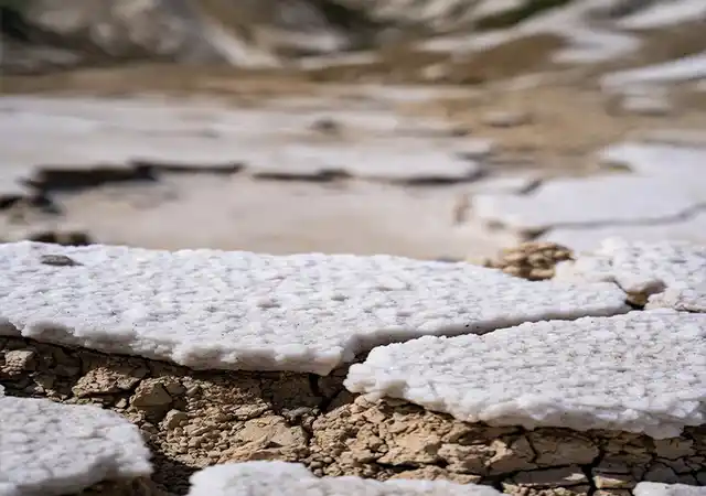 نمای نزدیک و واقعگرایانه از سطح خاک ساحلی شور در منطقه چاف و چمخاله استان گیلان؛ خاک خشک و ترکخورده با تجمع لایه ضخیم نمک سفید روی سطح، بافت کریستالی و پودری نمک به وضوح دیده میشود. عکس در نور روز نرم گرفته شده و تمرکز روی جزئیات بافت نمک و ترکهای عمیق خاک است. این تصویر نشاندهنده مشکل شوری شدید خاک در مناطق ساحلی شمال ایران است.