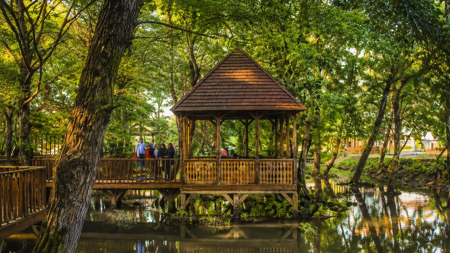 آلاچیق چوبی روی آب در دل طبیعت پارک جنگلی توسکا چمخاله