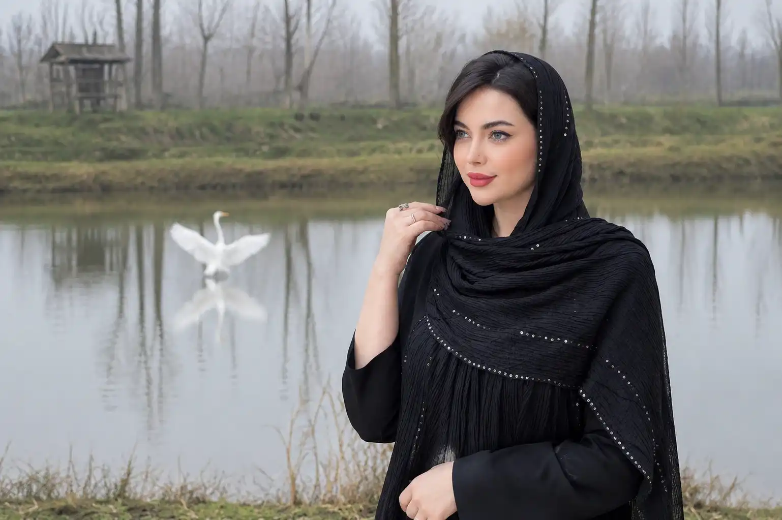 پرواز پرندگان مهاجر و حواصیل سفید در زیستگاه طبیعی تالاب سلکه