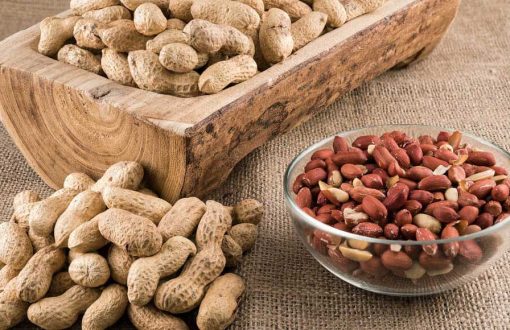 برترین بادام ایران