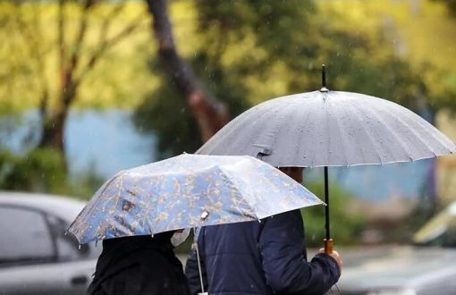 کشت در گیلان